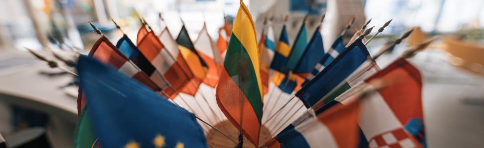 Lietuvos vėliava apsupta kitų ES šalių vėliavų