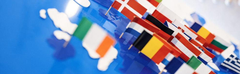 ES žemėlapis su valstybių narių vėliavomis